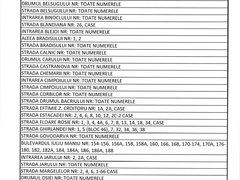 Viza flotant contracost pentru inscrierea copilului la scoala